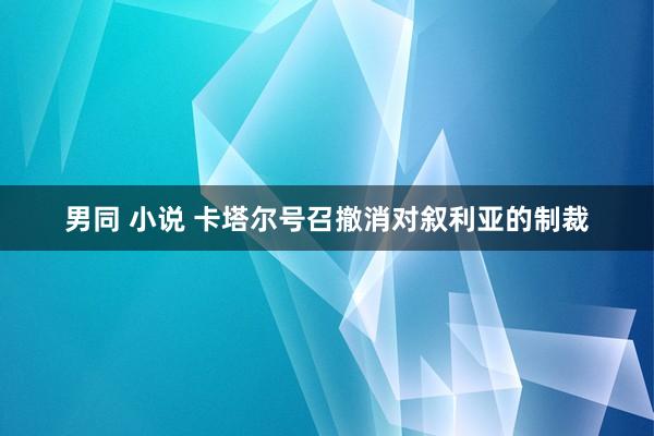 男同 小说 卡塔尔号召撤消对叙利亚的制裁