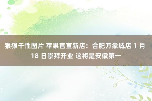 狠狠干性图片 苹果官宣新店：合肥万象城店 1 月 18 日崇拜开业 这将是安徽第一