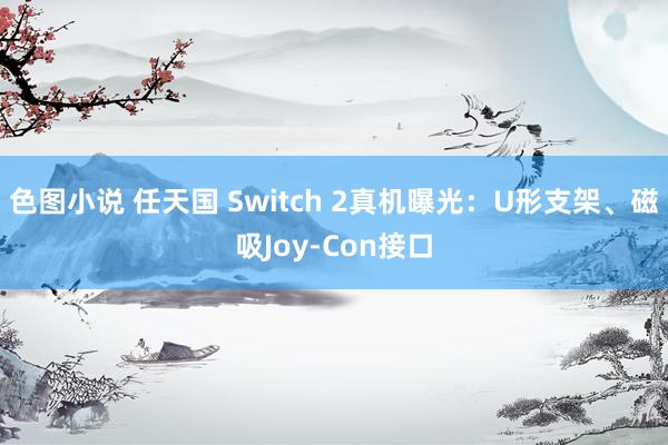 色图小说 任天国 Switch 2真机曝光：U形支架、磁吸Joy-Con接口