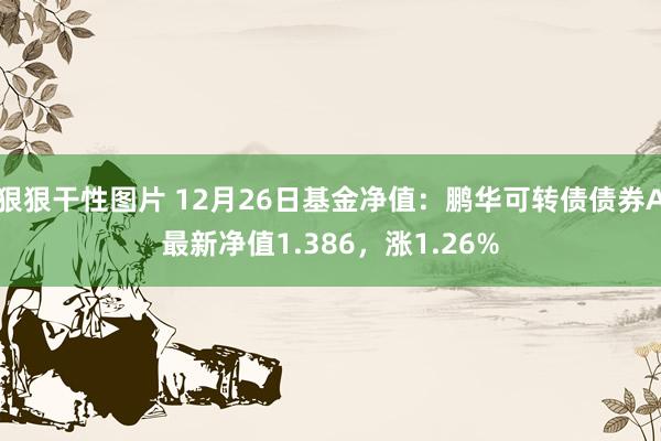 狠狠干性图片 12月26日基金净值：鹏华可转债债券A最新净值1.386，涨1.26%