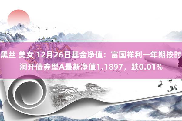 黑丝 美女 12月26日基金净值：富国祥利一年期按时洞开债券型A最新净值1.1897，跌0.01%