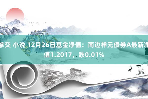 拳交 小说 12月26日基金净值：南边祥元债券A最新净值1.2017，跌0.01%