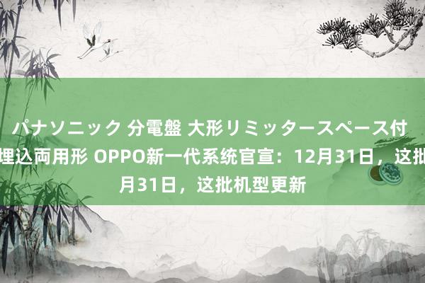 パナソニック 分電盤 大形リミッタースペース付 露出・半埋込両用形 OPPO新一代系统官宣：12月31日，这批机型更新