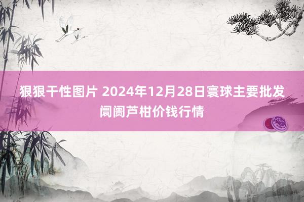 狠狠干性图片 2024年12月28日寰球主要批发阛阓芦柑价钱行情