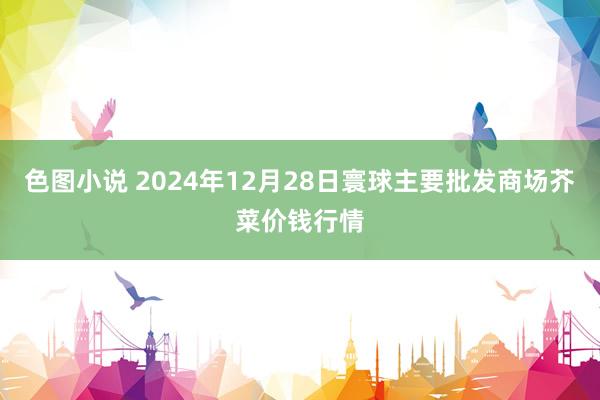 色图小说 2024年12月28日寰球主要批发商场芥菜价钱行情