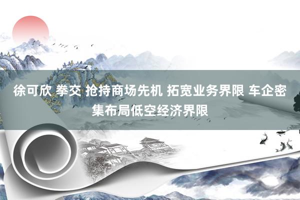 徐可欣 拳交 抢持商场先机 拓宽业务界限 车企密集布局低空经济界限