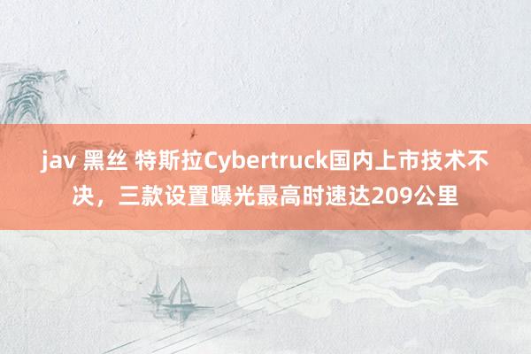 jav 黑丝 特斯拉Cybertruck国内上市技术不决，三款设置曝光最高时速达209公里