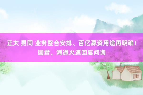 正太 男同 业务整合安排、百亿募资用途再明确！国君、海通火速回复问询