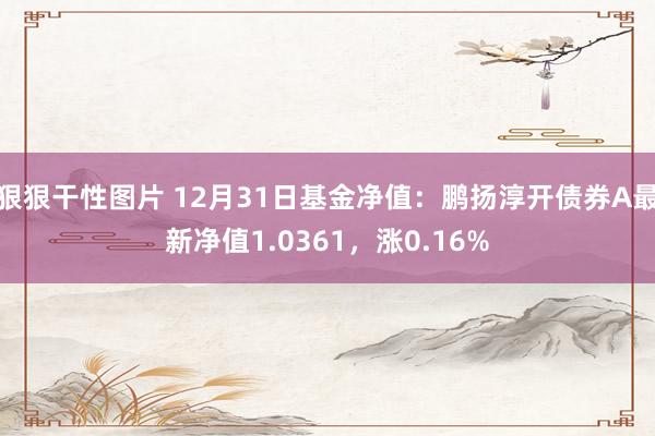 狠狠干性图片 12月31日基金净值：鹏扬淳开债券A最新净值1.0361，涨0.16%