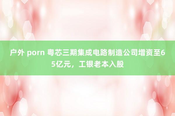 户外 porn 粤芯三期集成电路制造公司增资至65亿元，工银老本入股