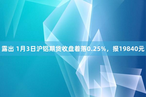 露出 1月3日沪铝期货收盘着落0.25%，报19840元