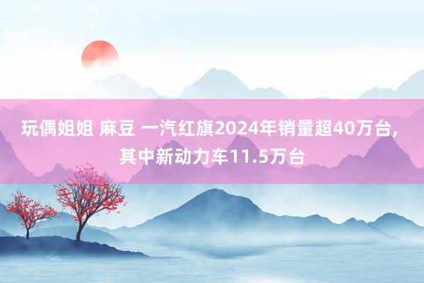 玩偶姐姐 麻豆 一汽红旗2024年销量超40万台， 其中新动力车11.5万台