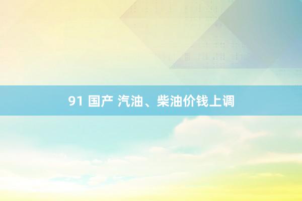 91 国产 汽油、柴油价钱上调