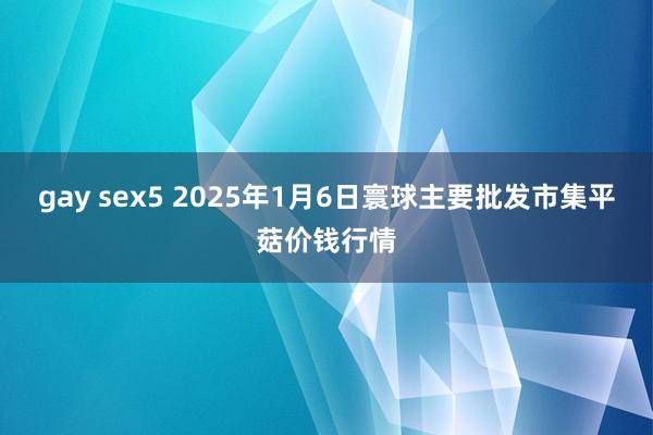 gay sex5 2025年1月6日寰球主要批发市集平菇价钱行情