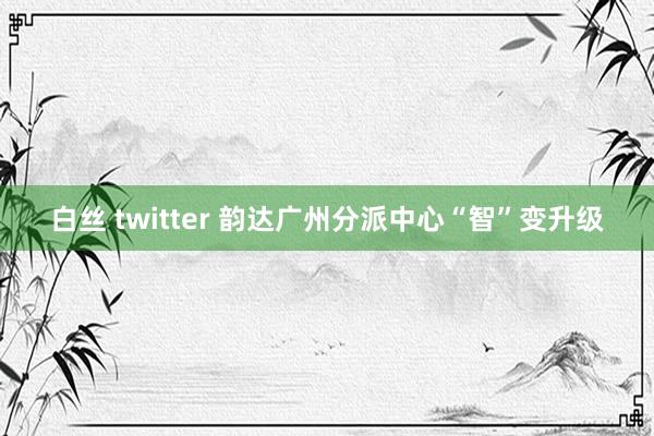 白丝 twitter 韵达广州分派中心“智”变升级