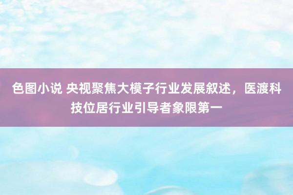 色图小说 央视聚焦大模子行业发展叙述，医渡科技位居行业引导者象限第一