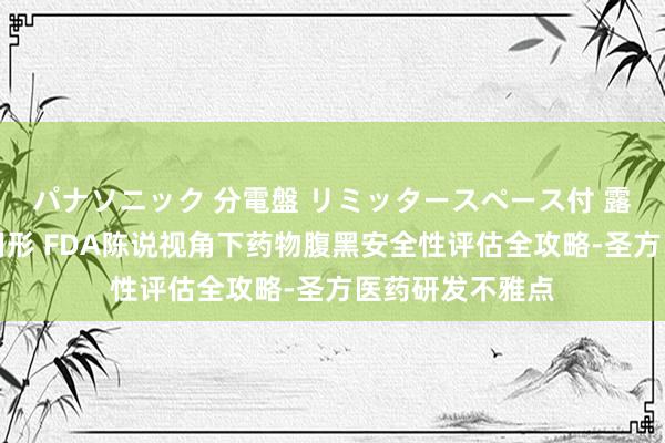 パナソニック 分電盤 リミッタースペース付 露出・半埋込両用形 FDA陈说视角下药物腹黑安全性评估全攻略-圣方医药研发不雅点