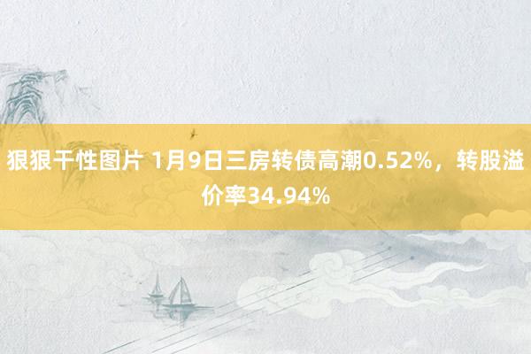 狠狠干性图片 1月9日三房转债高潮0.52%，转股溢价率34.94%