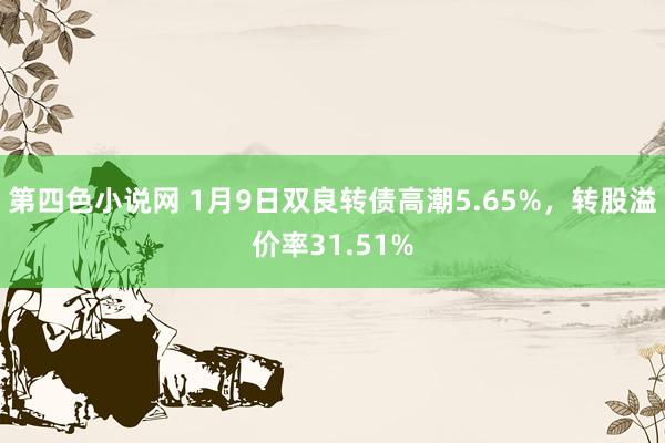 第四色小说网 1月9日双良转债高潮5.65%，转股溢价率31.51%