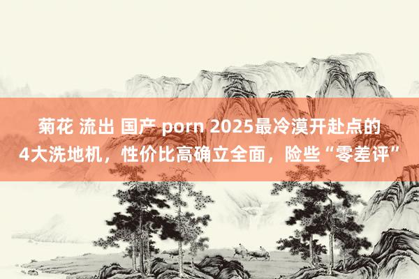 菊花 流出 国产 porn 2025最冷漠开赴点的4大洗地机，性价比高确立全面，险些“零差评”