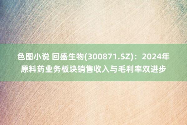 色图小说 回盛生物(300871.SZ)：2024年原料药业务板块销售收入与毛利率双进步