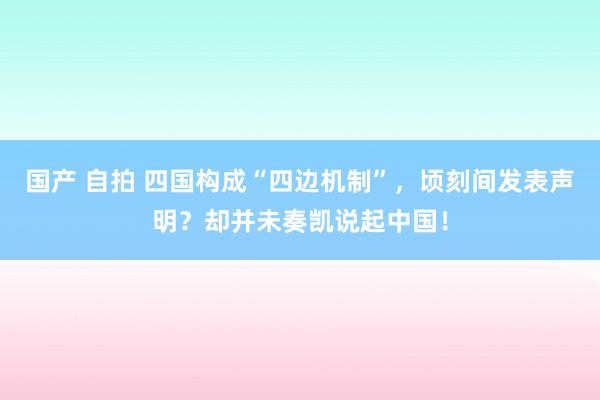 国产 自拍 四国构成“四边机制”，顷刻间发表声明？却并未奏凯说起中国！