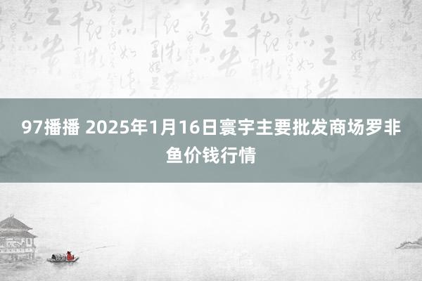 97播播 2025年1月16日寰宇主要批发商场罗非鱼价钱行情