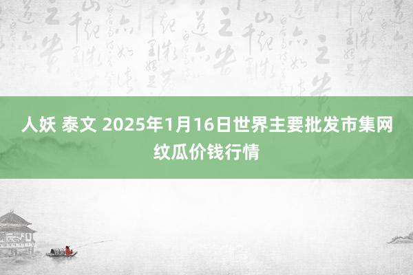 人妖 泰文 2025年1月16日世界主要批发市集网纹瓜价钱行情