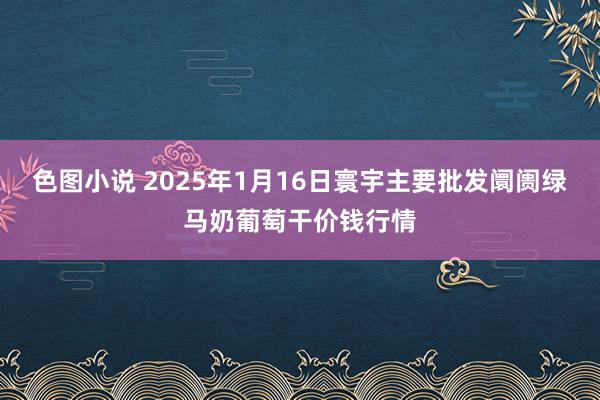 色图小说 2025年1月16日寰宇主要批发阛阓绿马奶葡萄干价钱行情