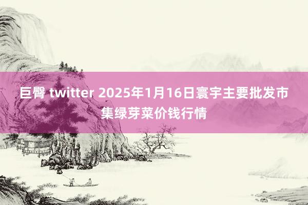 巨臀 twitter 2025年1月16日寰宇主要批发市集绿芽菜价钱行情