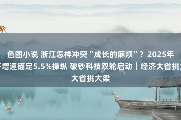 色图小说 浙江怎样冲突“成长的麻烦”？2025年经济增速锚定5.5%操纵 破钞科技双轮启动｜经济大省挑大梁